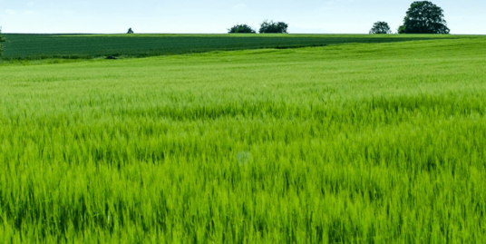 0.81 Acres of Land for Sale in Kileleshwa