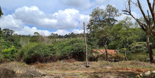 Land in Serene Muthaiga Suburb Available On Sale