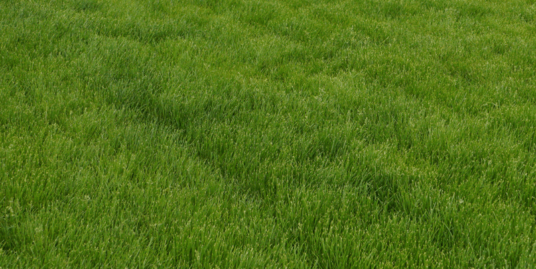 0.5 Acre of Land in Parklands