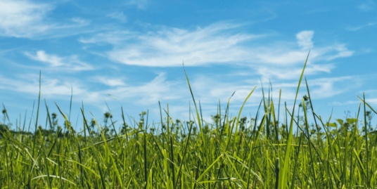 0.99 Acre of Land for Sale in Riverside