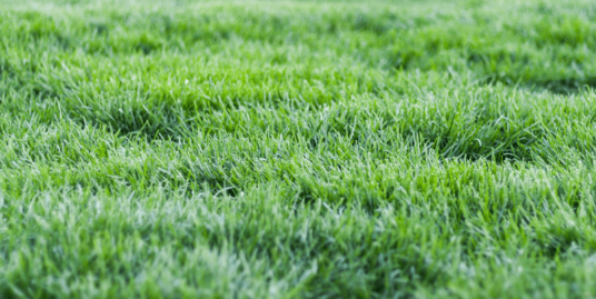 0.66 Acres of Land for Sale in Lavington