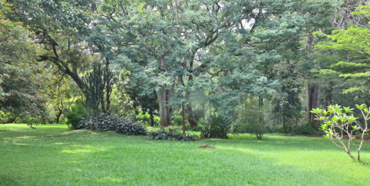 3 Acres Prime Land To Rent In Kitisuru