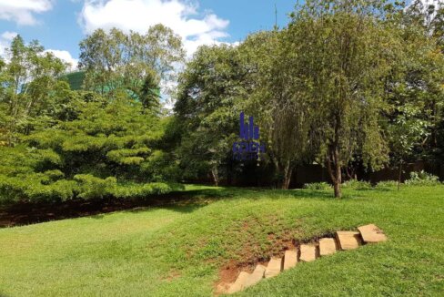 WhatsApp Image 2025-12-01 at 13.44.23