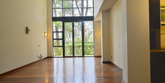 Modern 3 bedroom Duplexes in Westlands For Rent